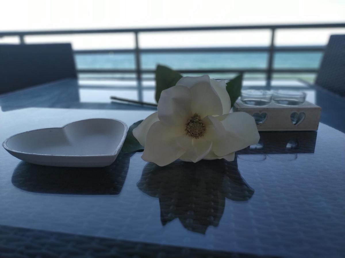 Miami Apartamento Margarita 迈阿密普拉特亚 外观 照片